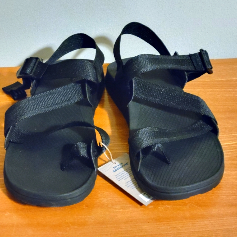 Chacos Lowdown 2 Sandal